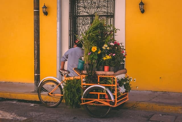 categ velo cargo
